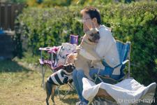 松島千賀子ブリーダー