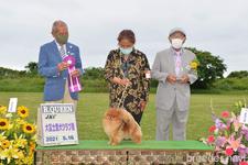 奥野史江ブリーダー