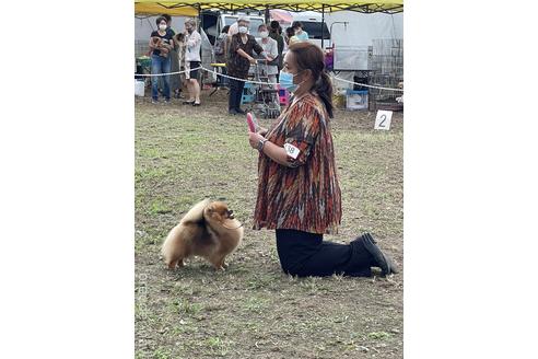 奥野史江ブリーダーの詳細