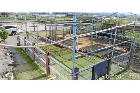 池田研司ブリーダーの詳細