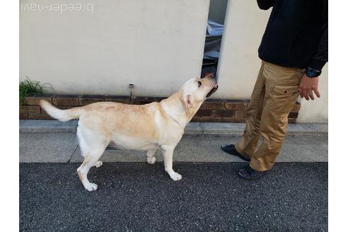 竹内新二ブリーダーの詳細