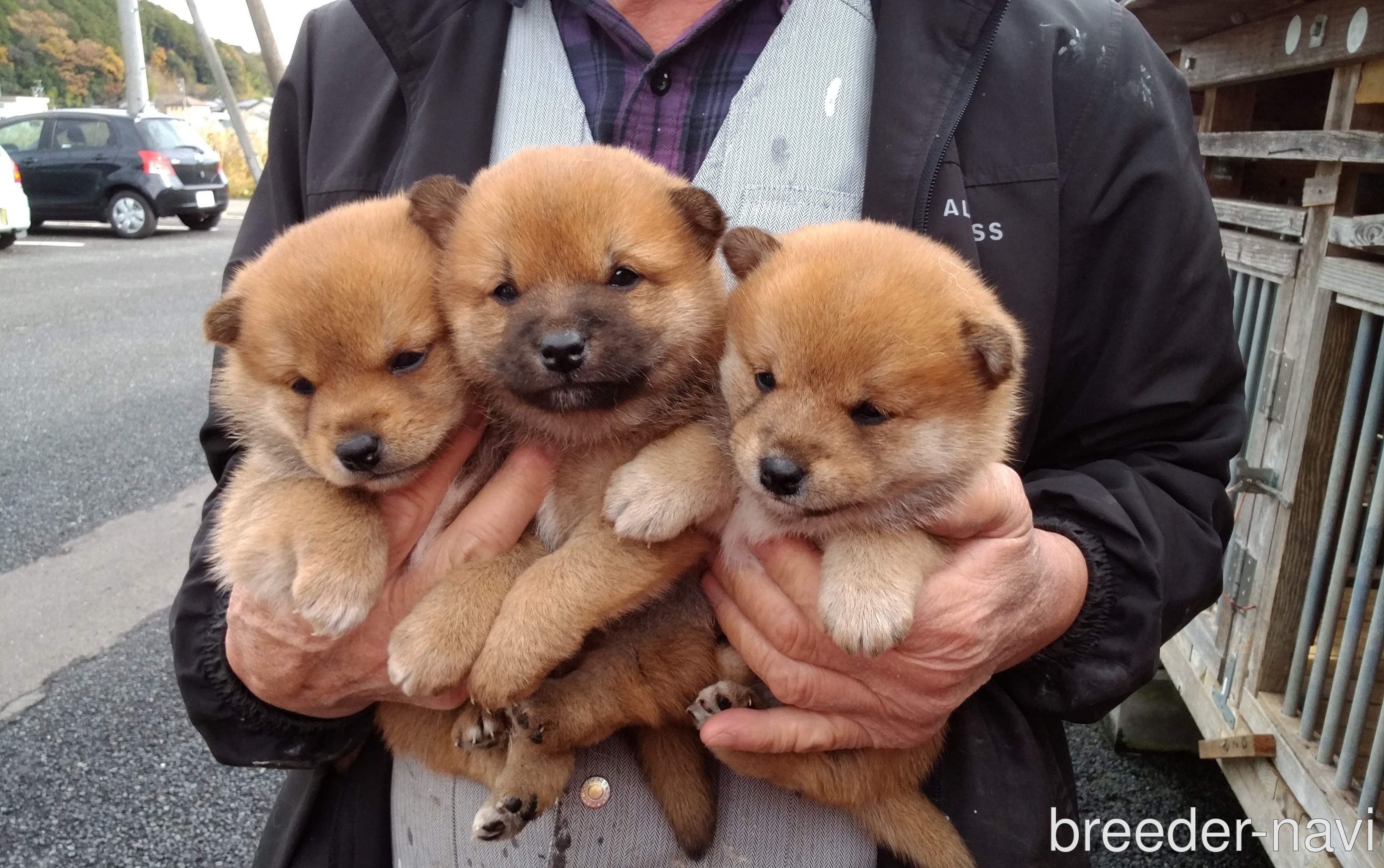 奥田ブリーダー