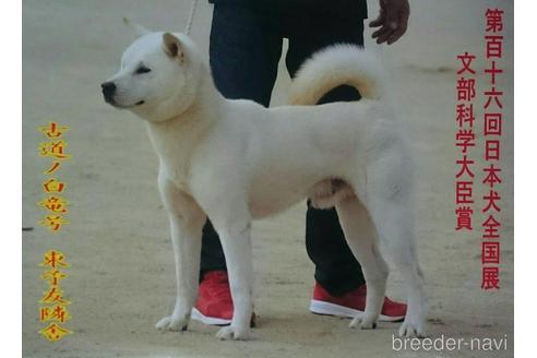 下和田勝義ブリーダーの詳細の1枚目