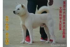 下和田勝義ブリーダー