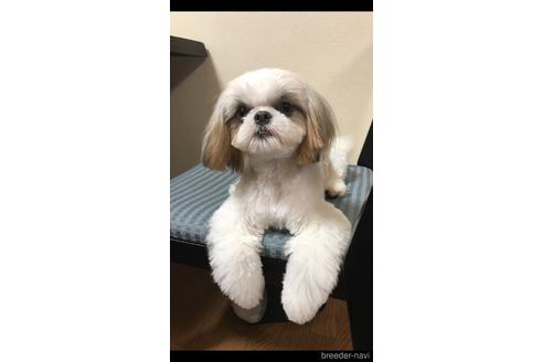 笠井綾佳ブリーダーの詳細の1枚目
