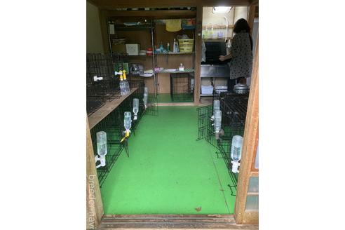 徳田波ブリーダーの詳細