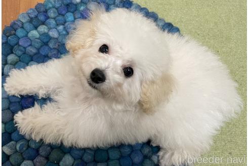 Jghvlmrgcatctm Jghvlmrgcatctm