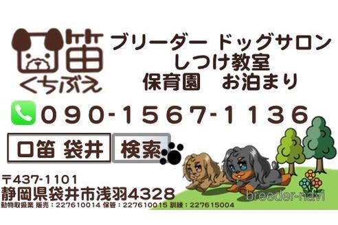 杉浦直人ブリーダーの詳細の1枚目