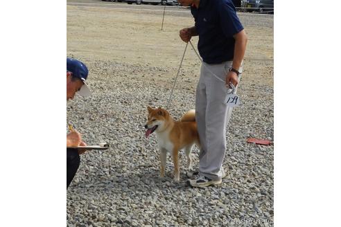 相原良一郎ブリーダーの詳細の1枚目