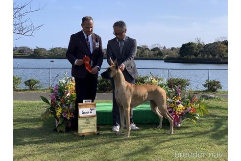 根津祐子ブリーダーの詳細の1枚目