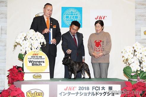 近藤美知子ブリーダーの詳細の1枚目