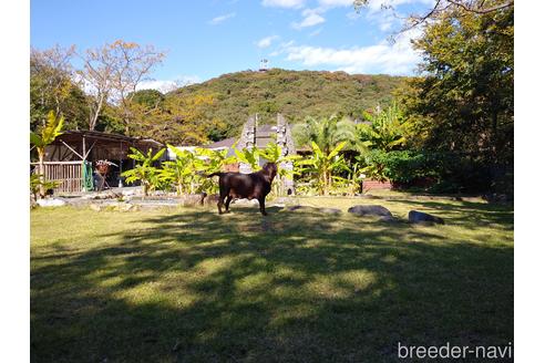 高橋章ブリーダーの詳細