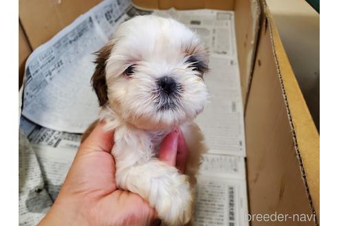 Gcg Wyb6af5wpm Gcg Wyb6af5wpm