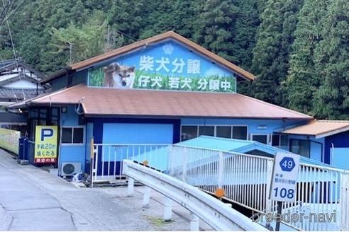 田中麗麗ブリーダーの詳細