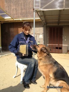 松尾ブリーダー