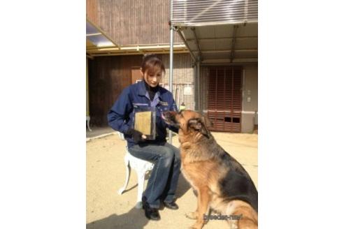 松尾晴美ブリーダーの詳細の1枚目