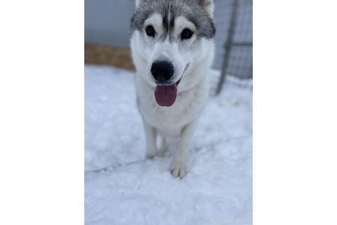 片岡里々夏ブリーダーの詳細の1枚目