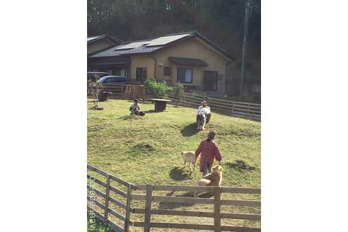 山寺千鶴ブリーダーの詳細