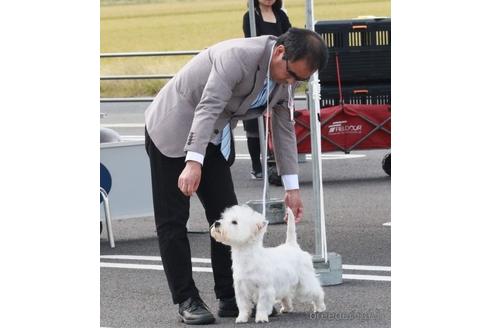 北川浩一ブリーダーの詳細