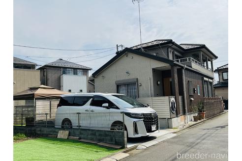 小島光男ブリーダーの詳細