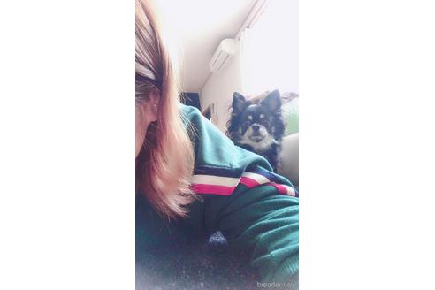 菅田寧々ブリーダーの詳細