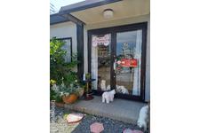 栗田 加菜子ブリーダー