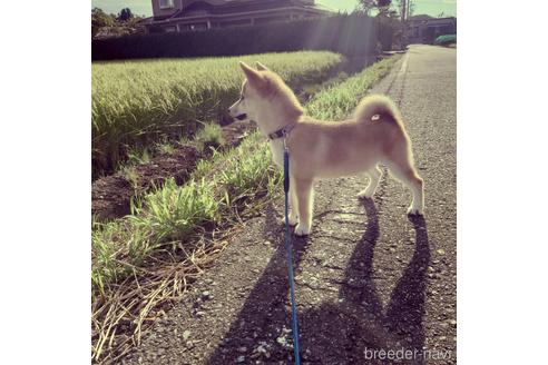 村田優樹ブリーダーの詳細