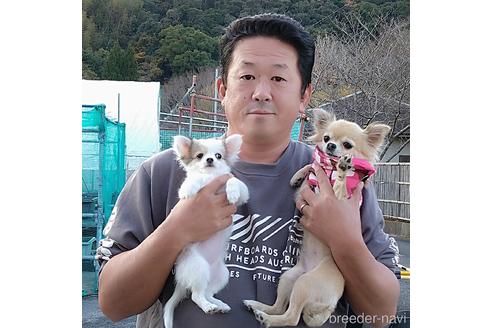 和平粛統ブリーダーの詳細の1枚目