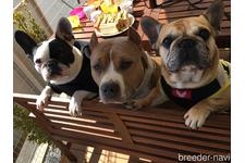 中村朋宏ブリーダー