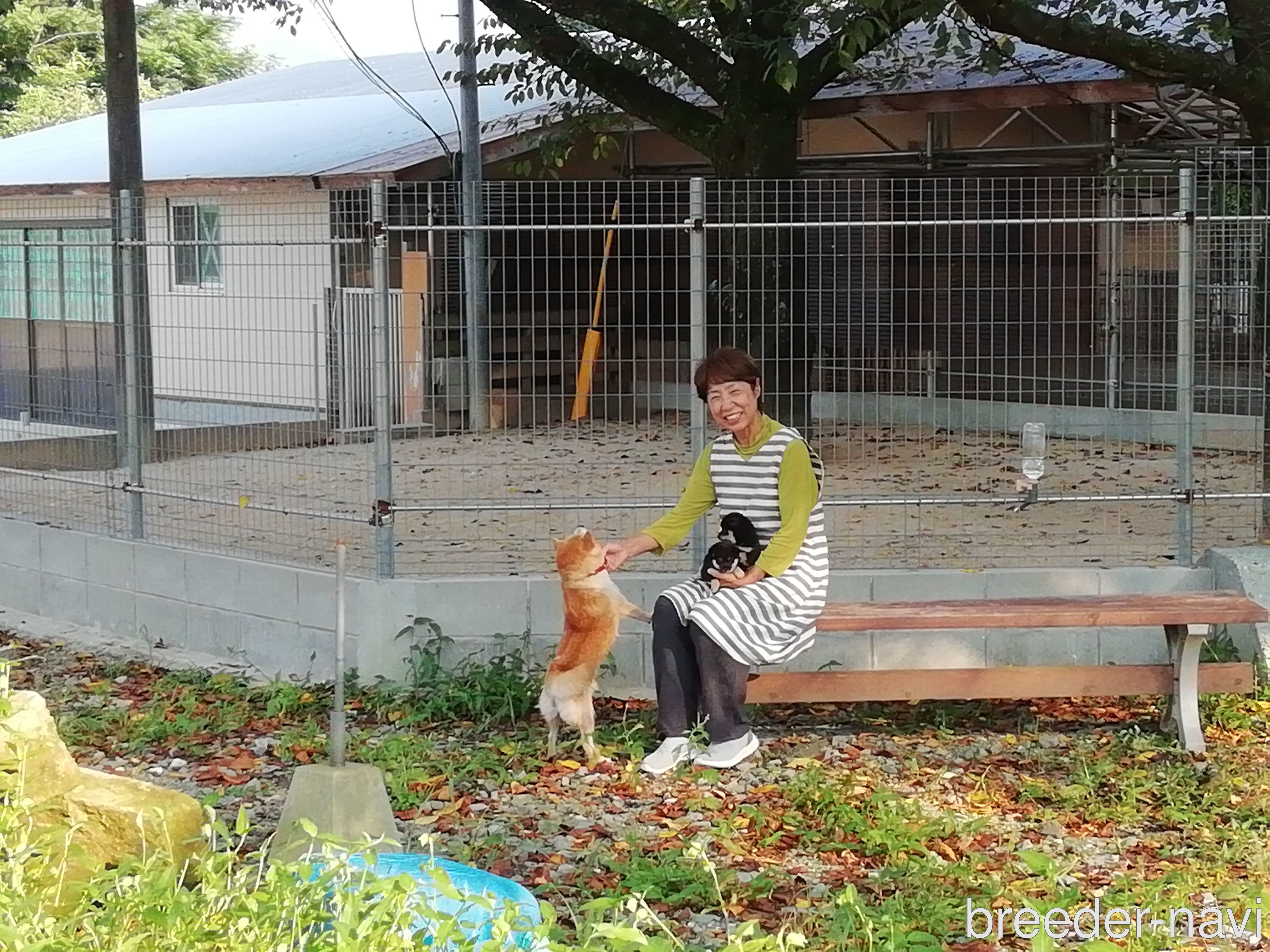 藤本ブリーダー