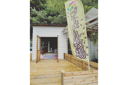 守屋英利ブリーダーの詳細