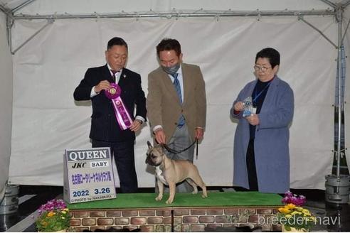 岩切麻梨香ブリーダーの詳細