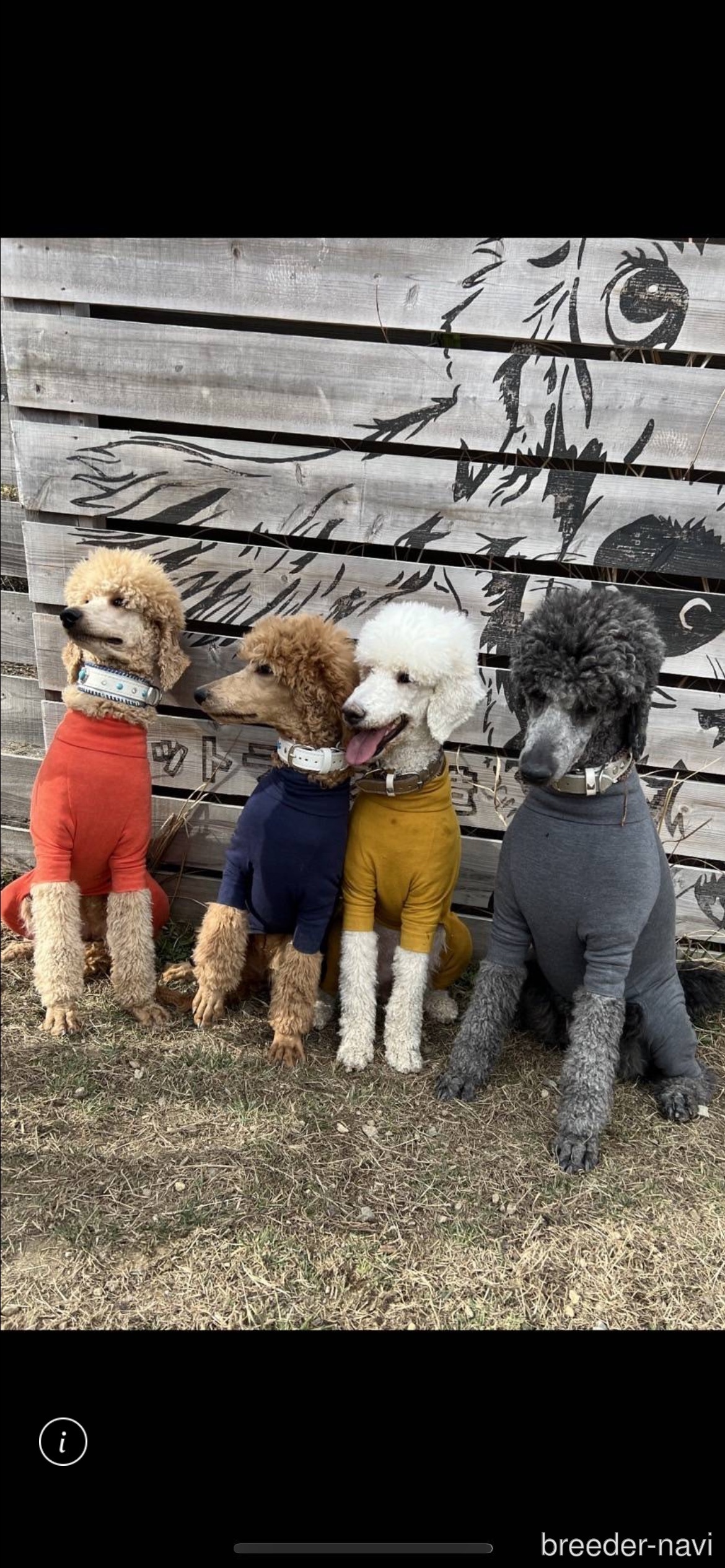 黒葛野ブリーダー