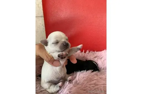 Udqm3k63ig9tpm Udqm3k63ig9tpm