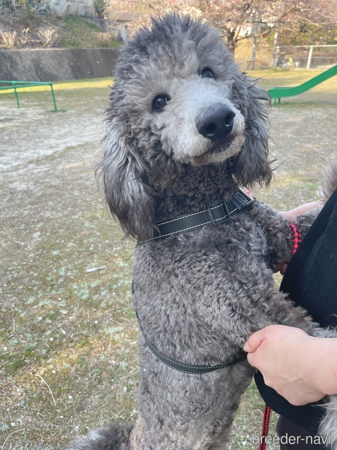 土田ブリーダー