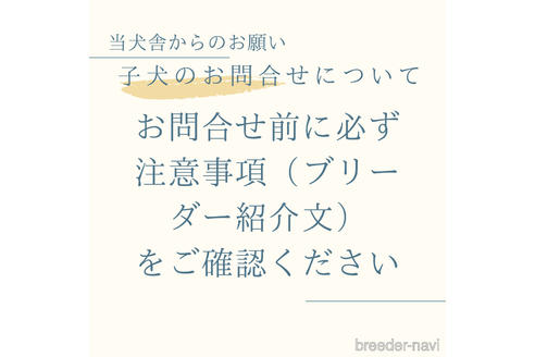 臼井祐子ブリーダーの詳細