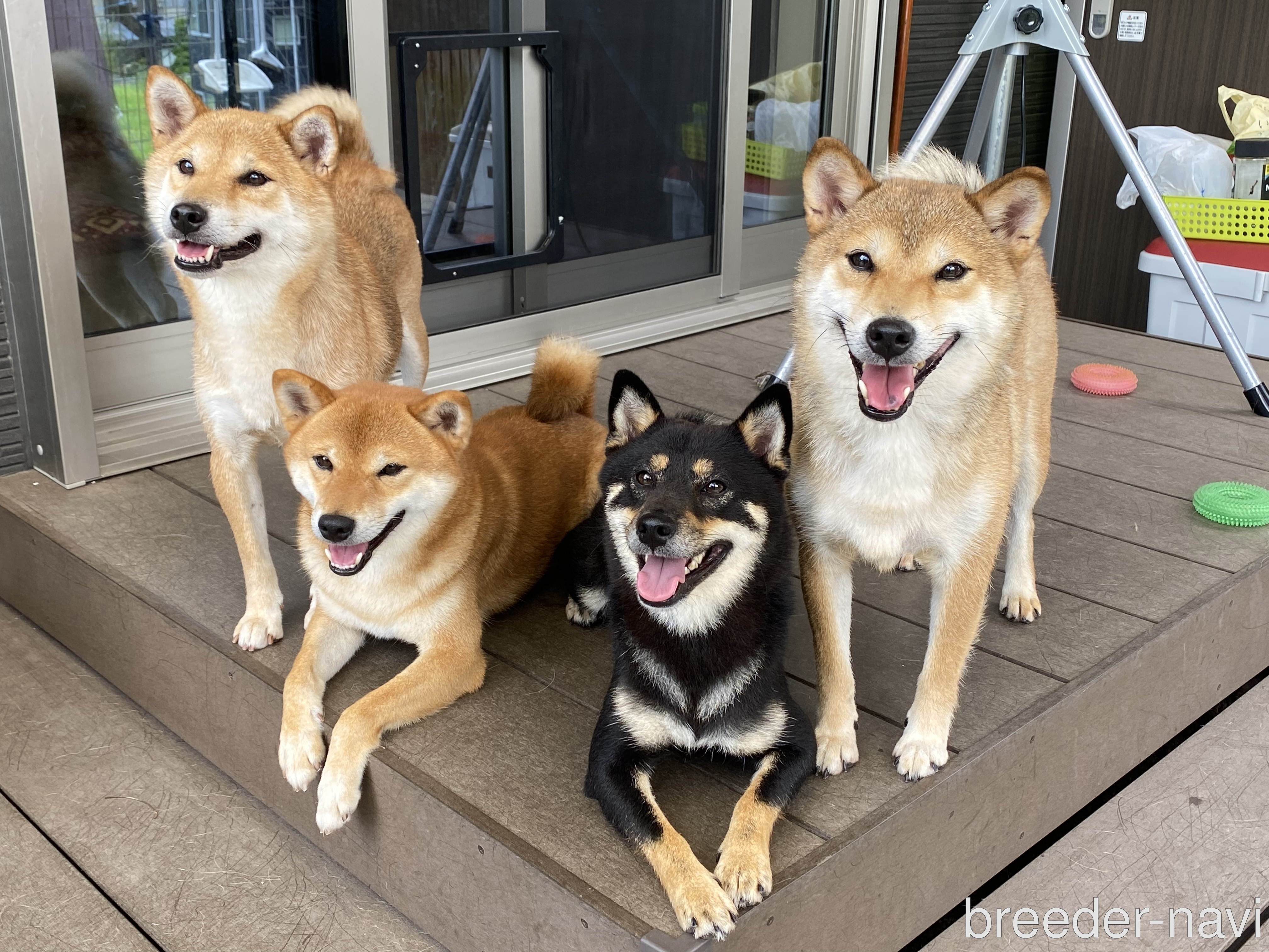斉藤ビアンカ　バネスカ