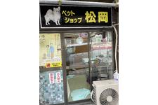 松岡浩樹ブリーダー