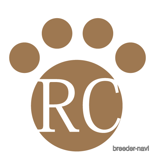 山本ジョンウン