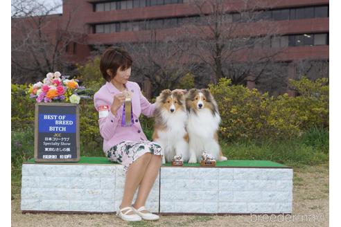 木代ゆかりブリーダーの詳細の1枚目