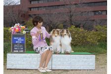 木代ゆかりブリーダー