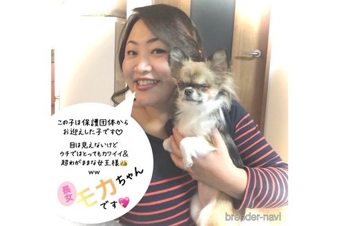 平井真美ブリーダーの詳細の1枚目