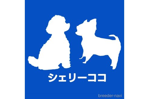 山田杏美ブリーダーの詳細の1枚目