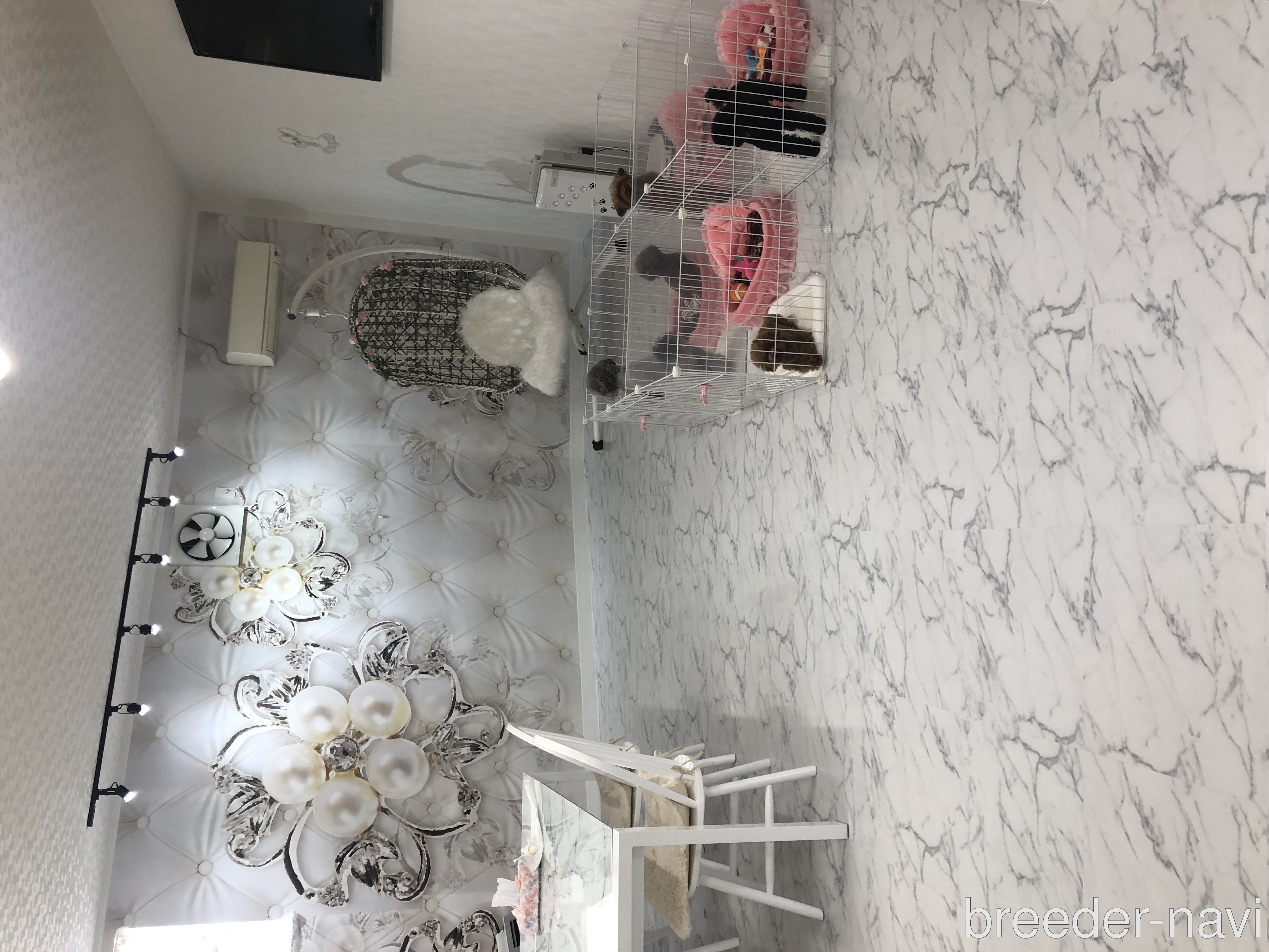 鈴木ブリーダー