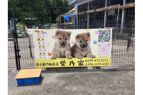 月野壽巳ブリーダーの詳細の1枚目