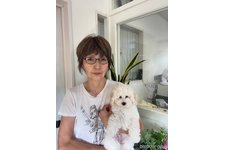 鈴木千代美ブリーダー