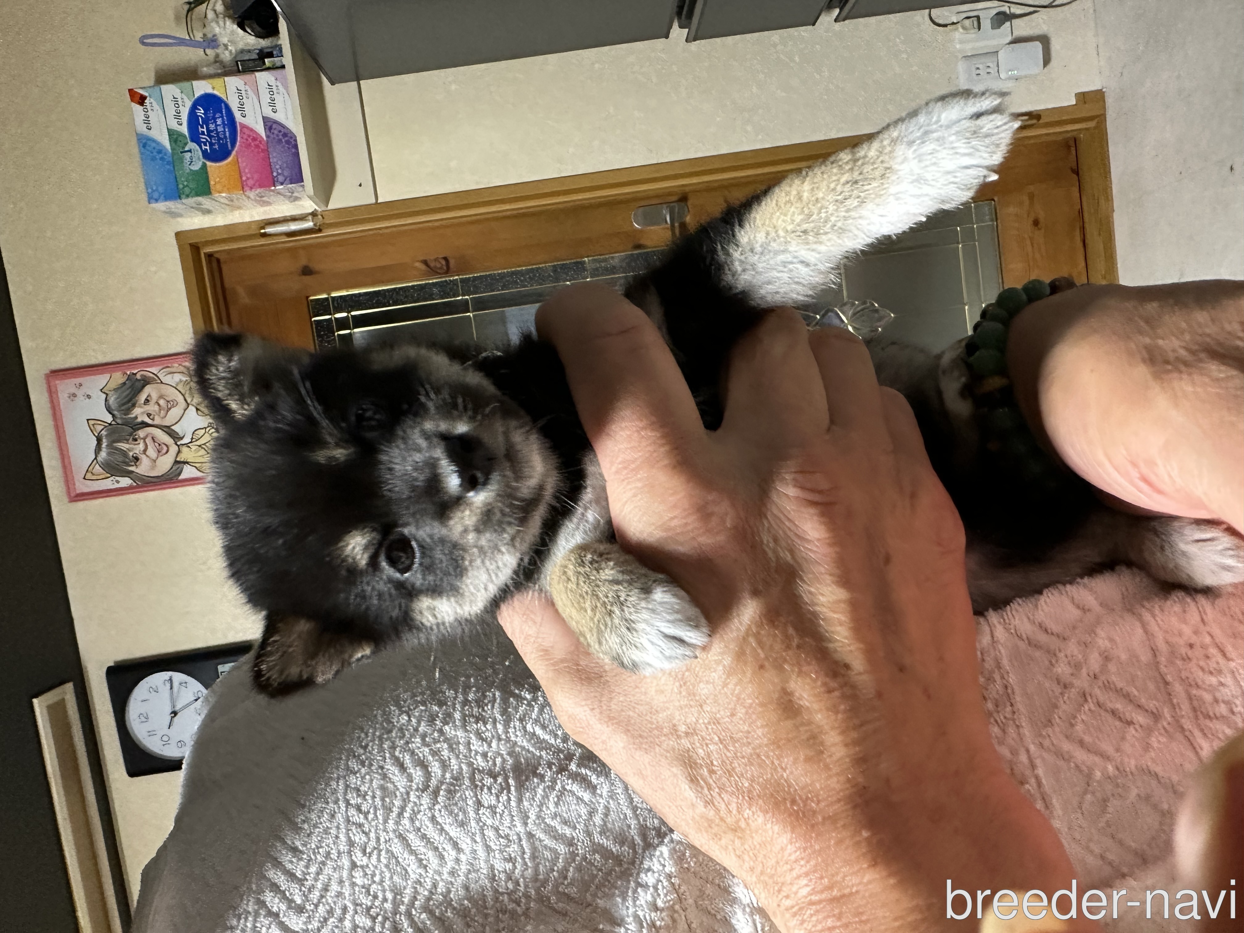 濱田ブリーダー