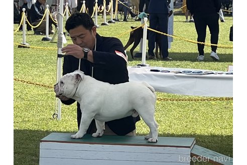 寺口一也ブリーダーの詳細の1枚目