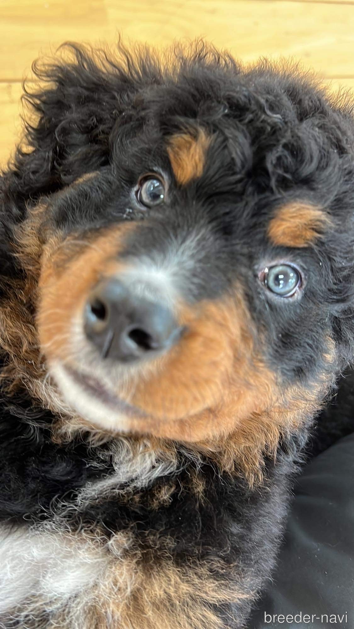 ウィグマンエリックジョン