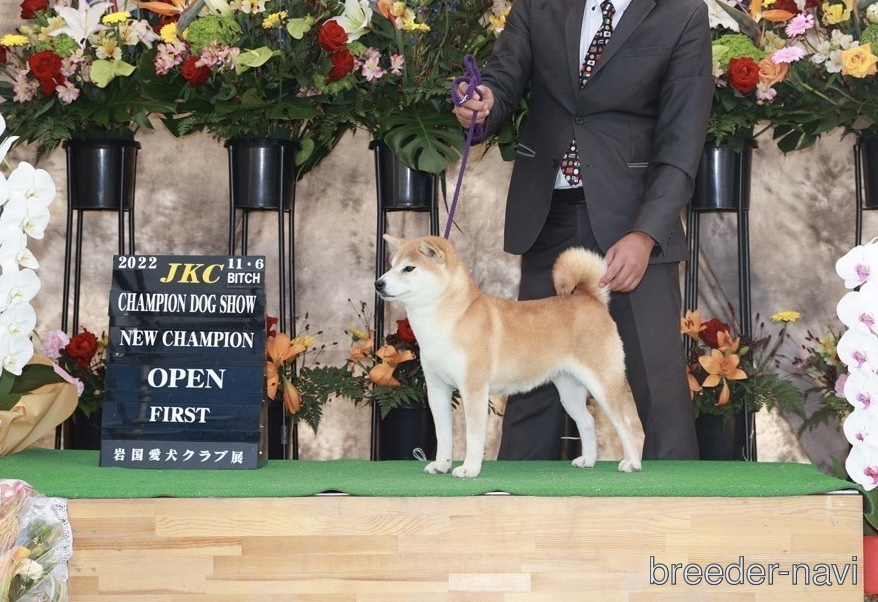 石田ブリーダー